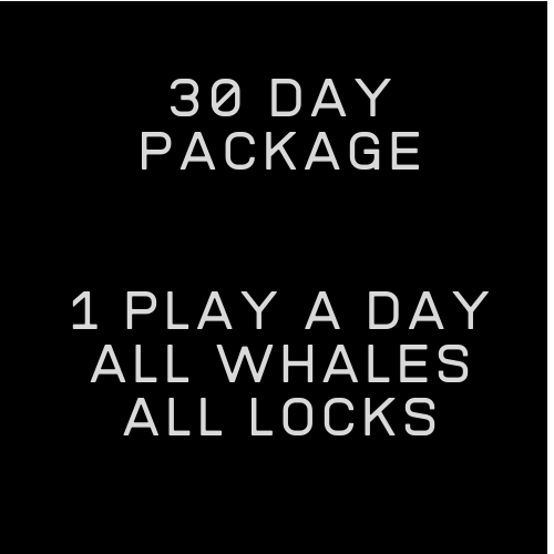 30 DAY PACKAGE